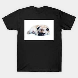 Sleeping Pug T-Shirt